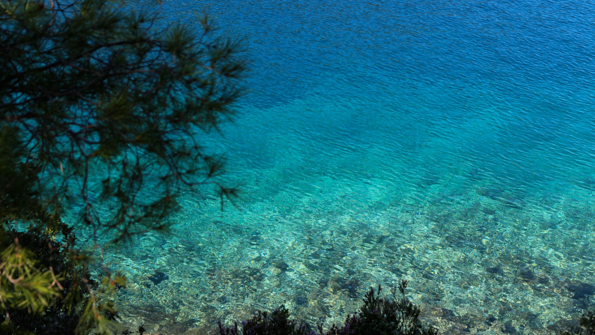 les eaux turquoises de la mer Ionienne