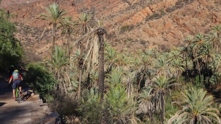 Image : Maroc : De l'Atlas à la vallée du Drâa