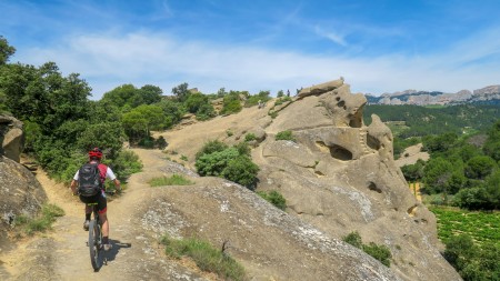 Image : Provence : Ventoux, Dentelles, Baronnies
