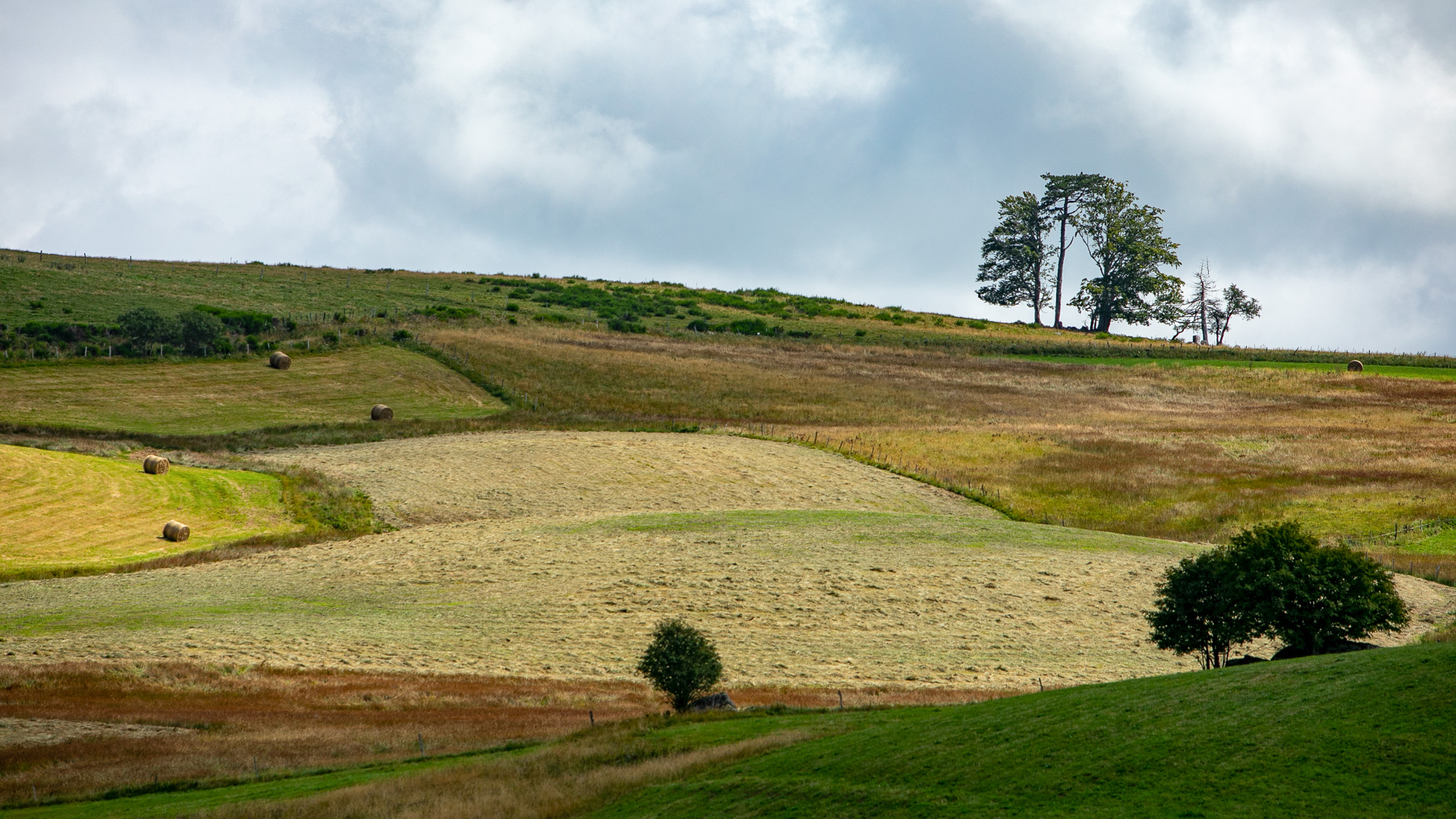 paysage typique de Margeride avec ses champs cultivés