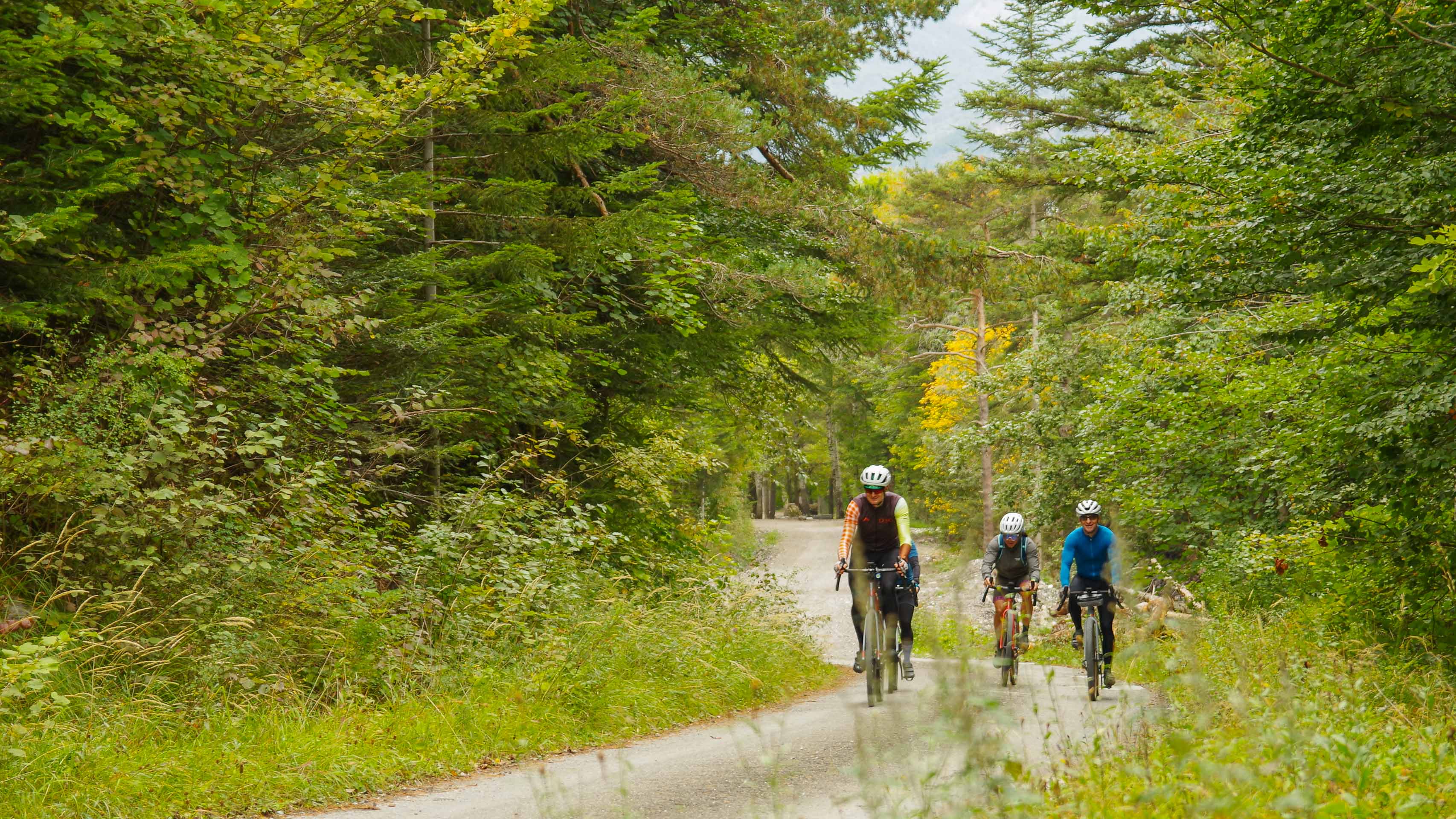 un groupe de cyclistes qui descend une piste en forêt pour se rendre à Embrun