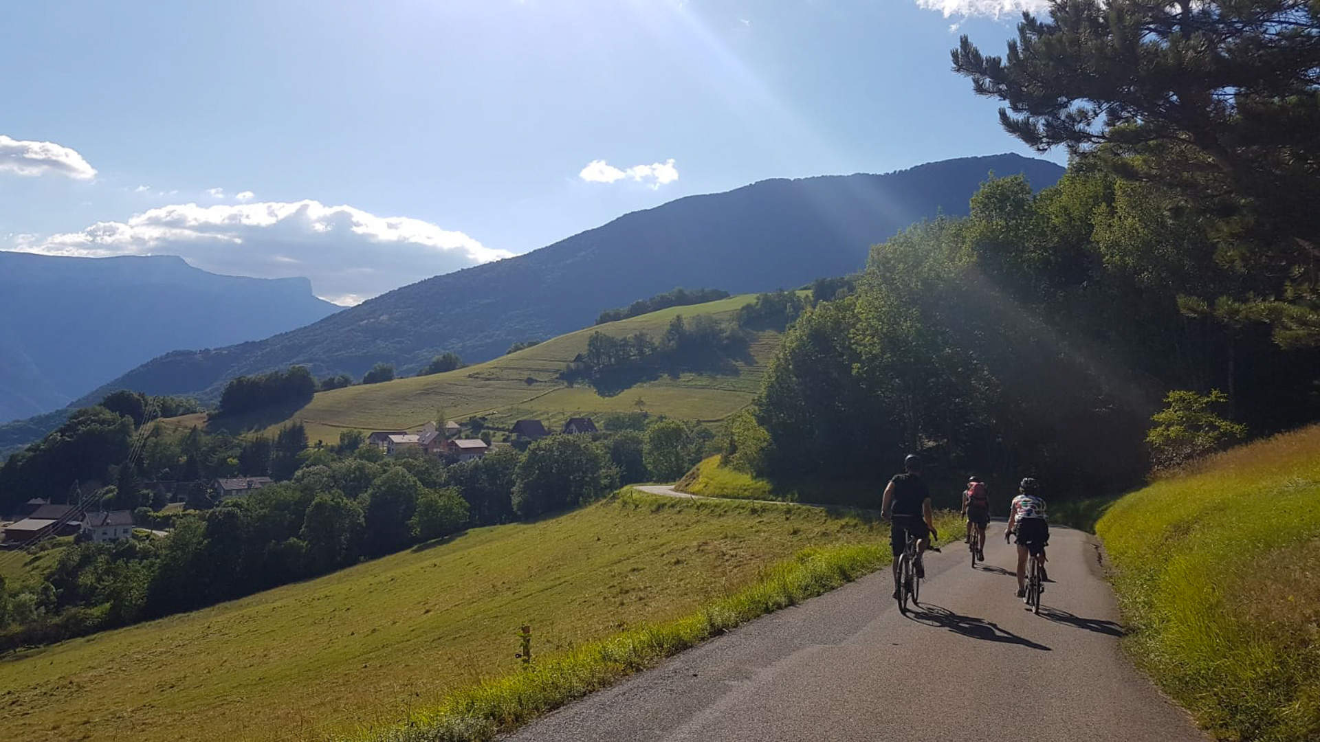 un groupe de cyclistes descend sur la route de Chartreuse