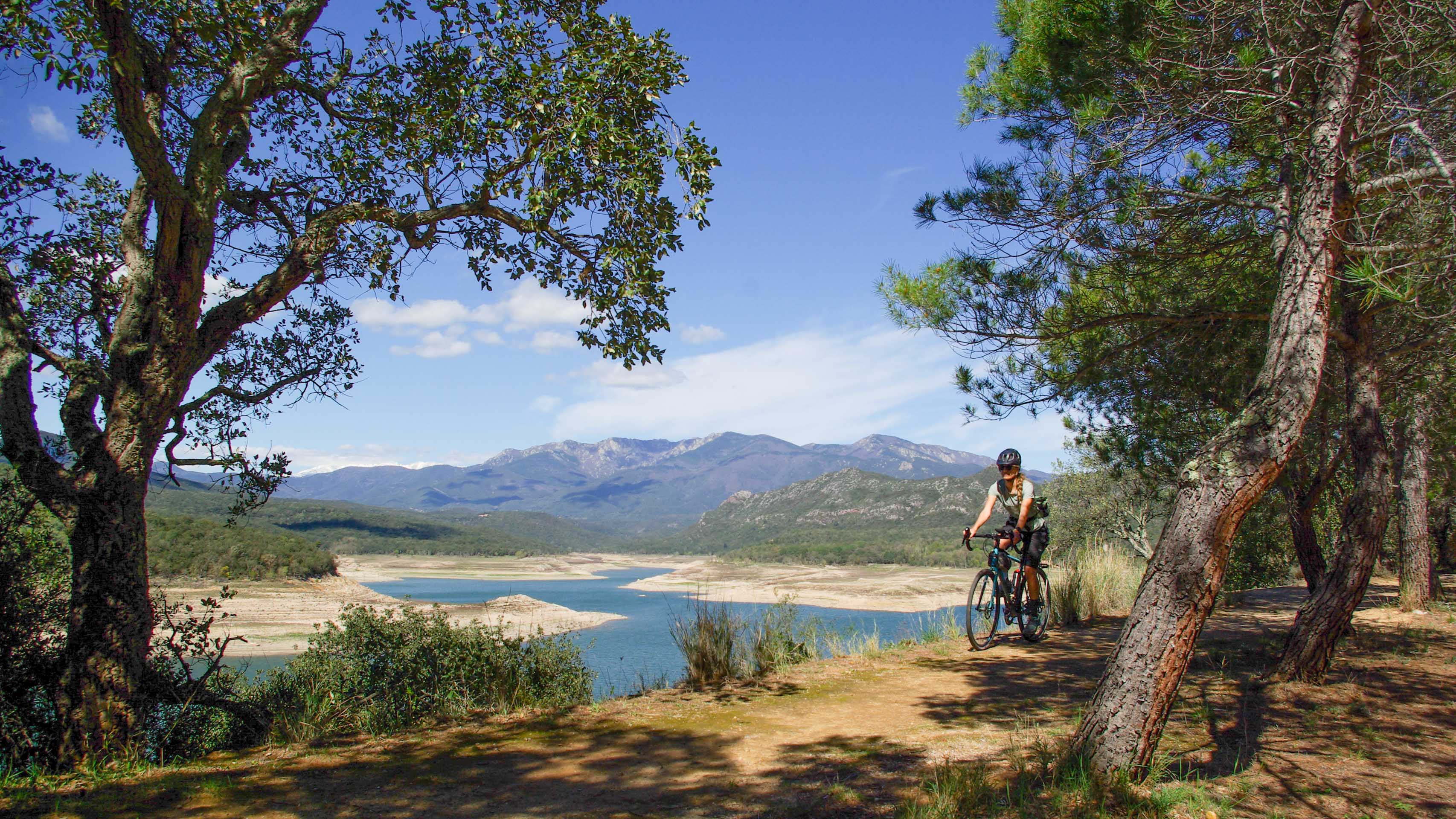 une cycliste sur un chemin dans une pinède en bordure d'un lac