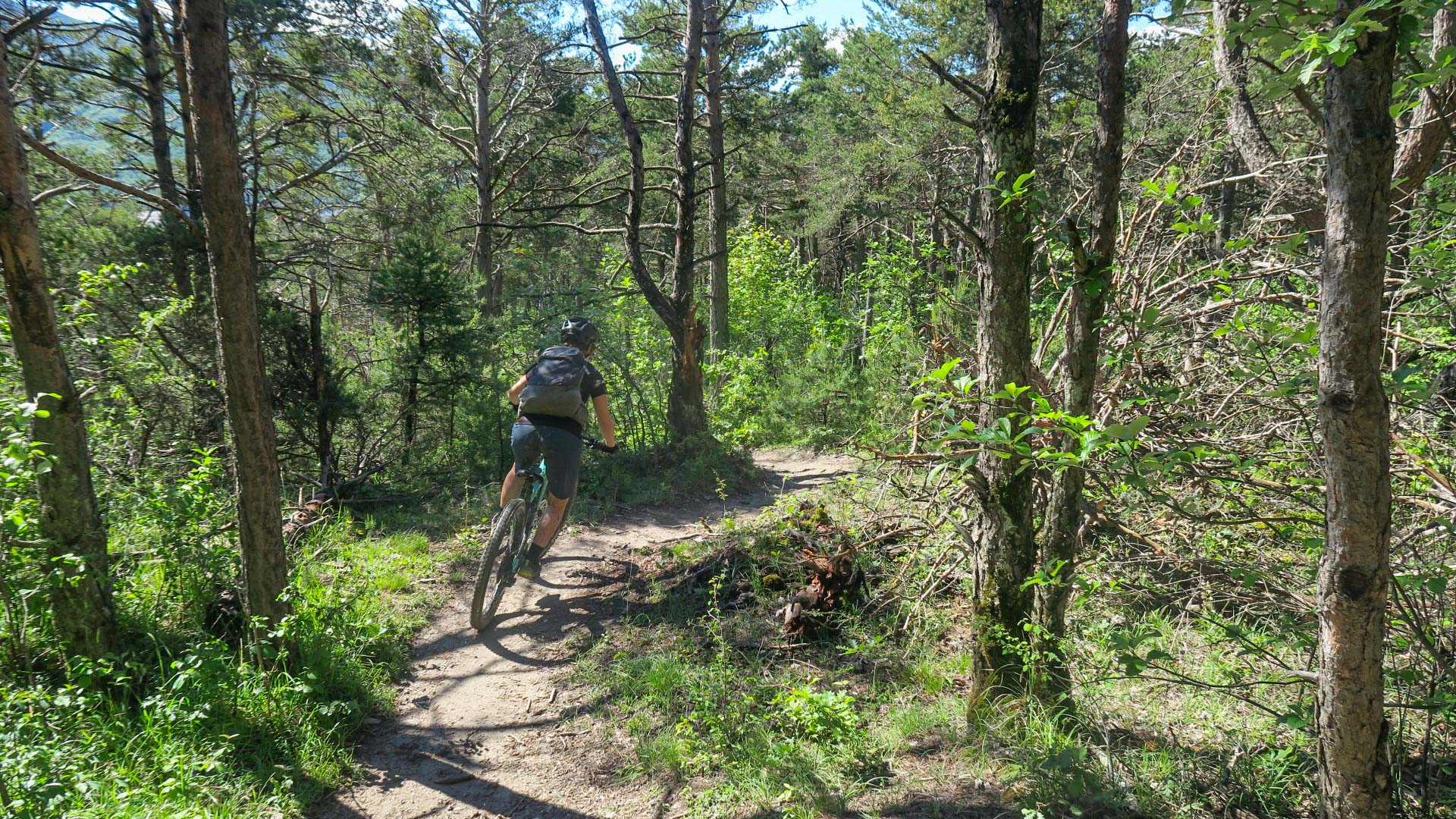 femme à VTT sur un single dans une forêt de l'Ubaye