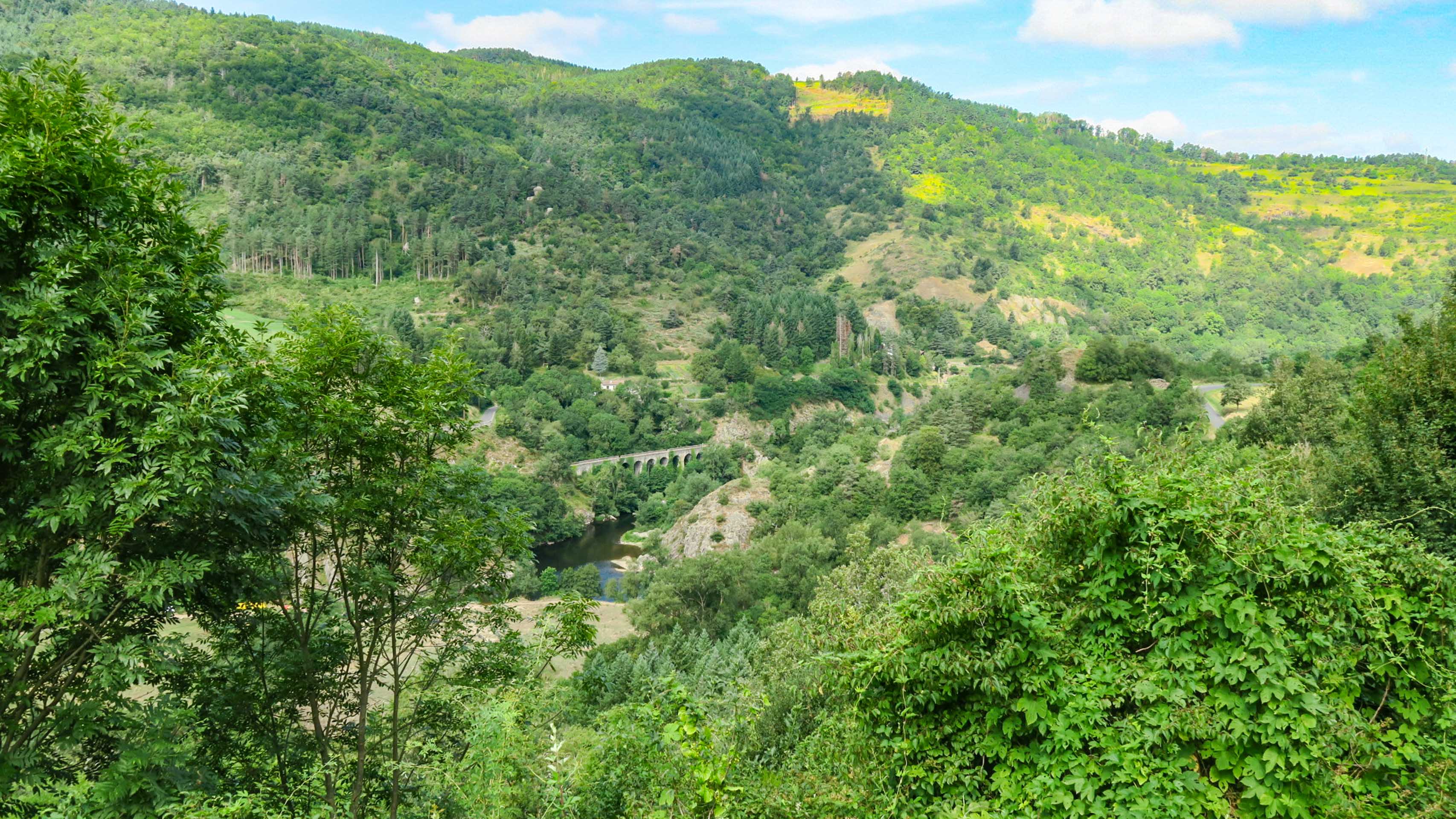 Chemin de fer dans un écrin de verdure TER Occitanie