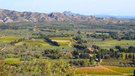 Image : Provence : Perles de Provence - version guidée