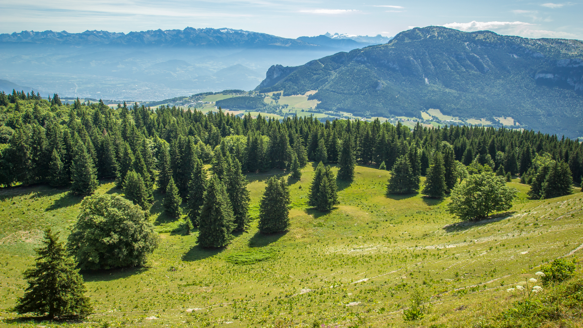 vue panoramique sur les plateaux du Vercors