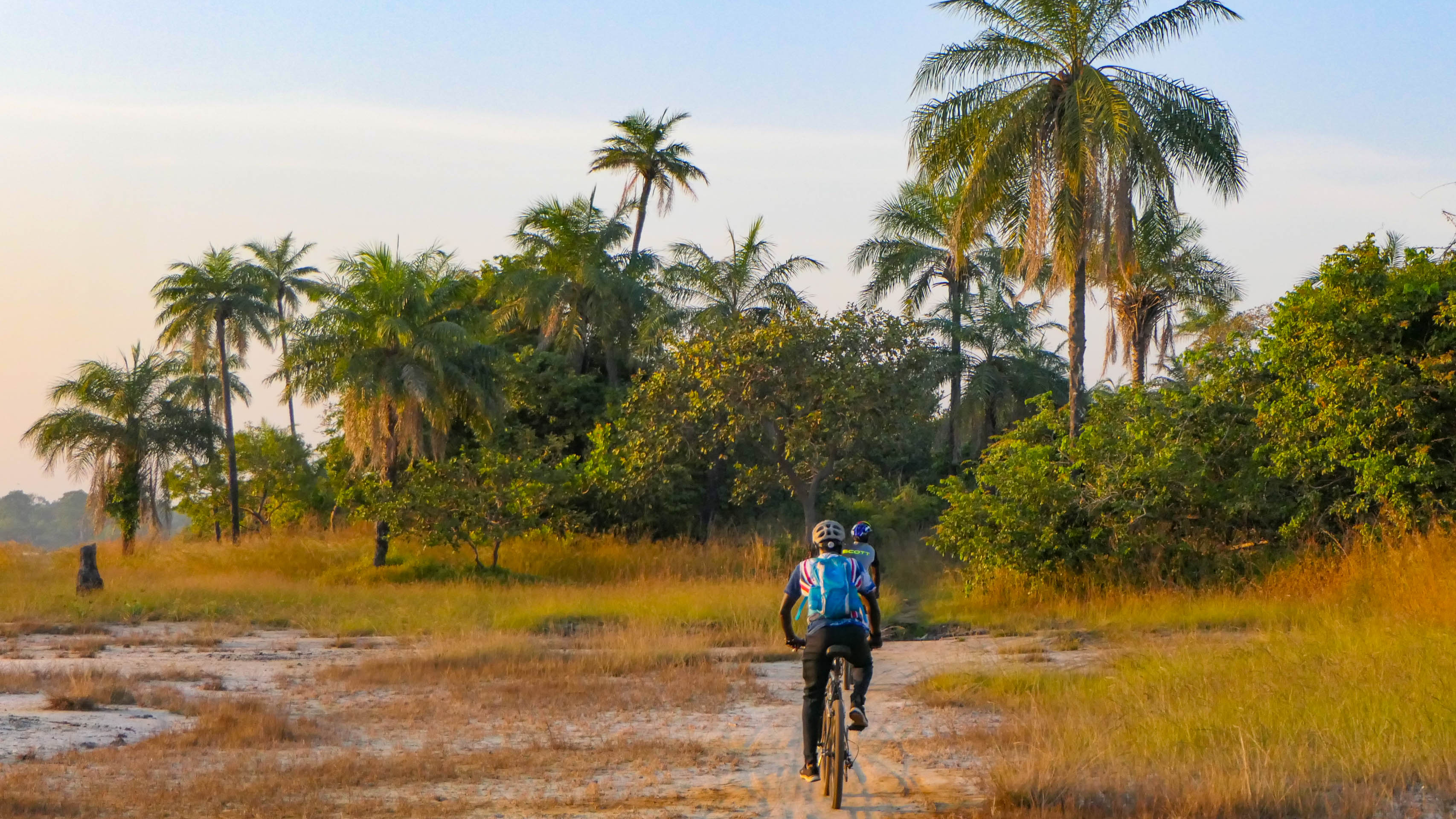 deux cyclistes pédalent en lisière d'une forêt semi-tropicale