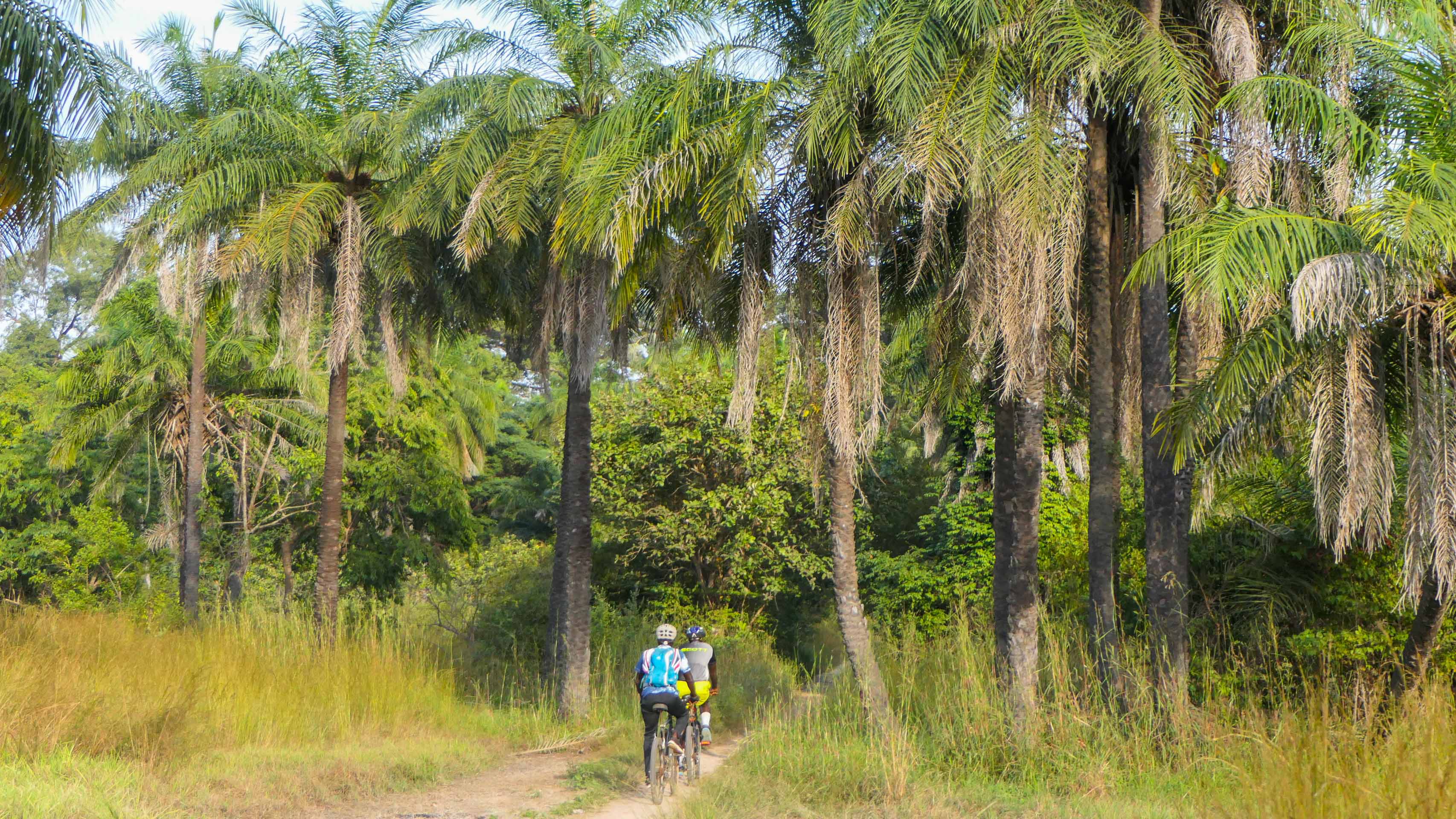 deux cyclistes pénétrant dans une forêt luxuriante du Sénégal