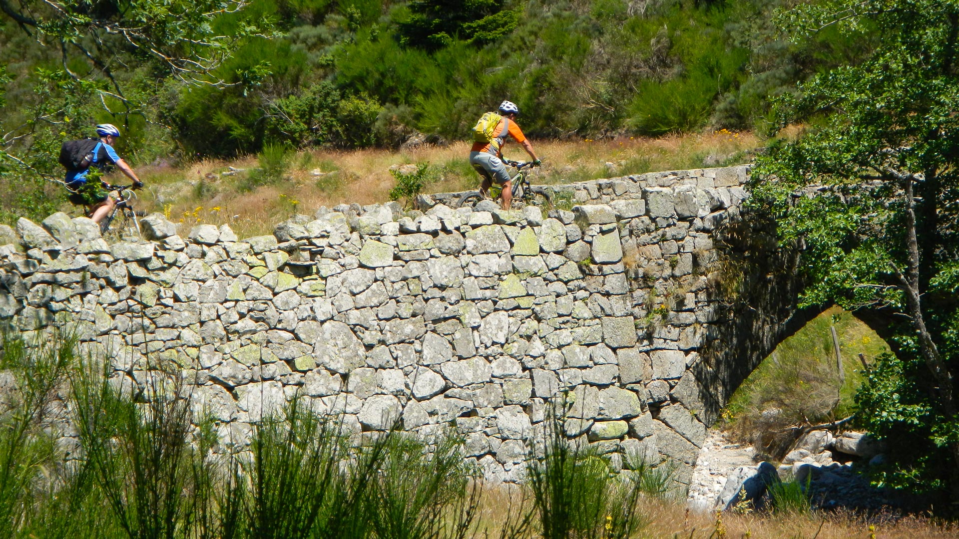 vttiste sur une piste que longe un mur de pierres sèches